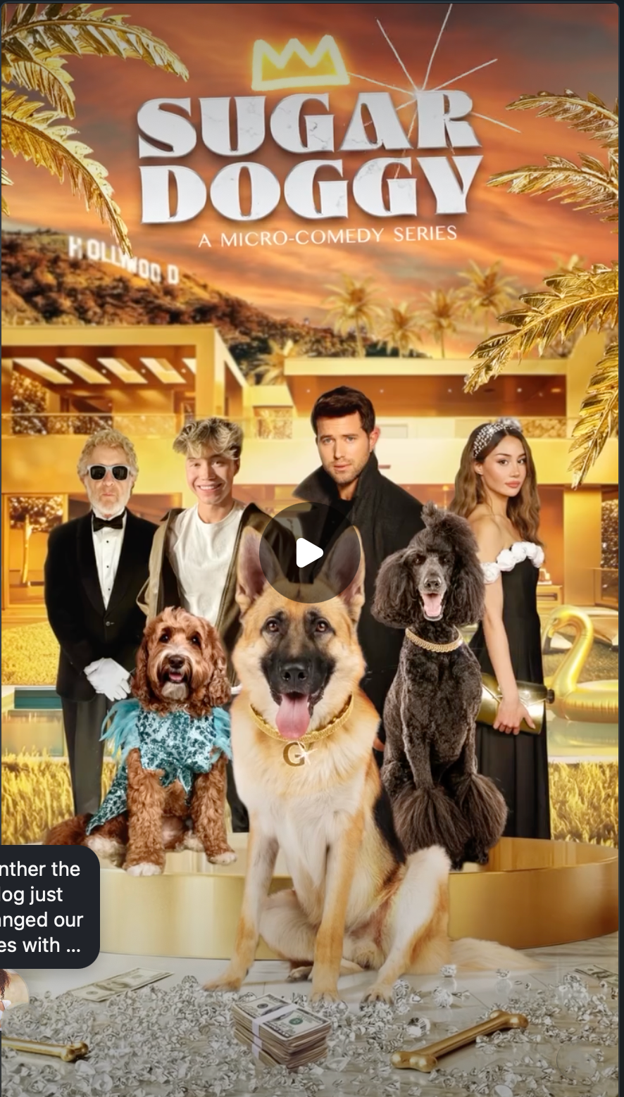 Sugar Doggy — Micro-Comedy Series